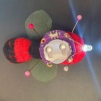 Bug with LED Craft Kit