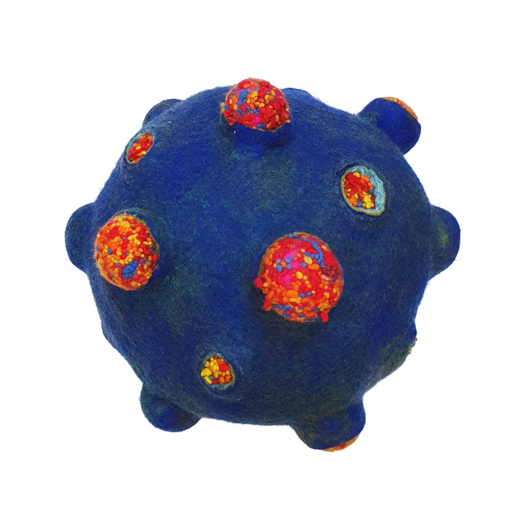Chicken Pox Niki Collier Textiles & Art