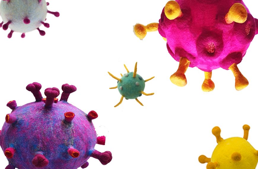 The Microorganisms Series