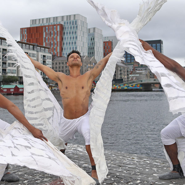 Children of Lir: Culture Night