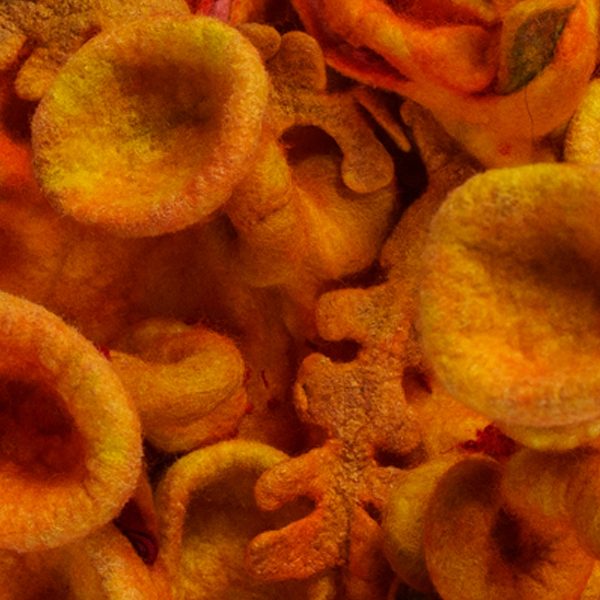 Abattoirs International Curated Show