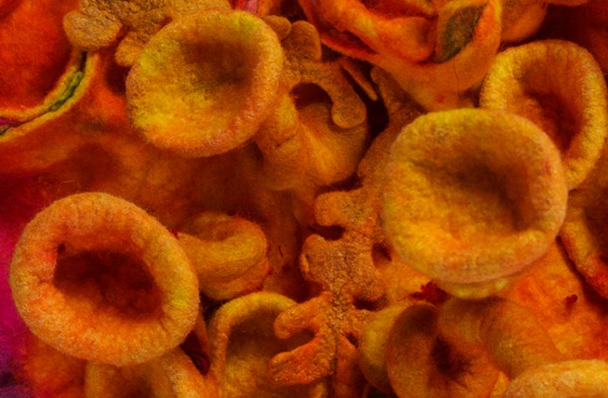 Abattoirs International Curated Show