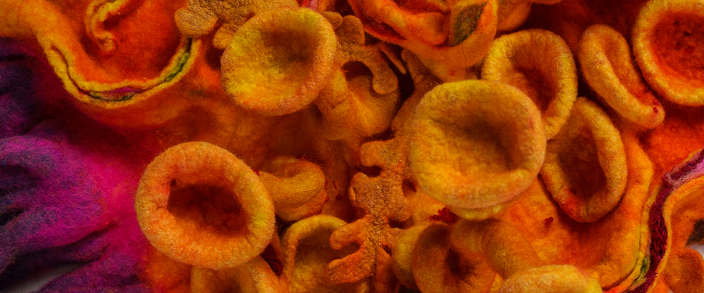 Abattoirs International Curated Show